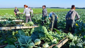 Kein Platz für Hilfsarbeiter