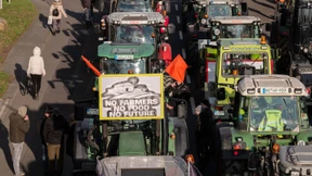 Was ein Kenner über die Probleme der Landwirtschaft sagt