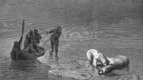 Seit 1897 im Eis: Leichen von Arktisforschern gefunden