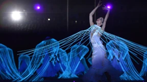 Ausgerechnet Schwanensee 