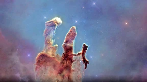 „In der Schönheit steckt Wissen“