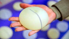 „Die männliche Brust geht vor allem in England gut“