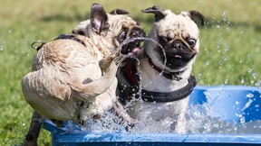 Es wird nochmal warm