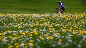 Alles nachhaltig oder was?