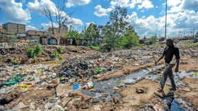 Ein Rettungsplan für die Arten
