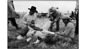 Ganze Kerle, Hufschlag für Hufschlag