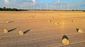 Nicht Tierfutter, nicht Biosprit