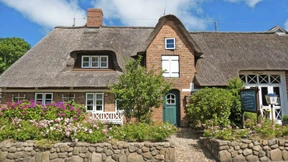 Ein Paradies für Friesen