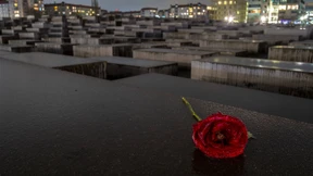 Das Bild und das Wort