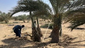 Ein Öl-Gigant als Anwalt des Klimaschutzes?