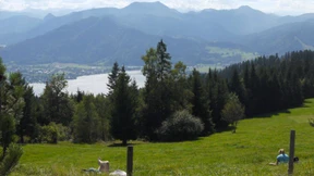 Schweiß, Schmutz und Lügen der Feministinnen