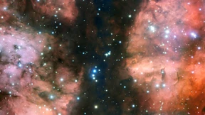 Scharfer Blick in eine Sternenkrippe