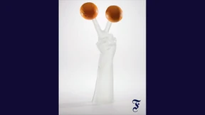 F.A.Z. SELECTION bietet limitierte Skulptur von Erwin Wurm an