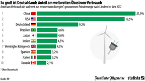 Amerikas Anteil am Ökostrom-Verbrauch besonders groß