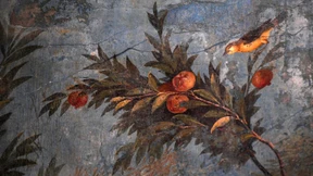 Bäume in ewiger Blüte