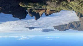 Das Orakel des Papageien Lola