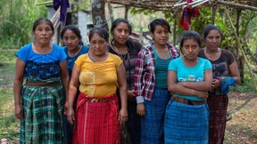 Über 200 Umweltschützer weltweit getötet