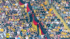 Dresdner Ordner tragen Neonazi-Shirts