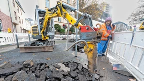 Eine grüne, blühende Insel an der Straßenecke
