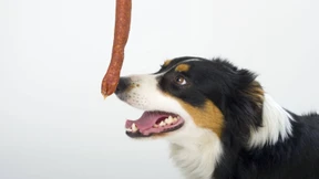 Auf den Klang kommt es an