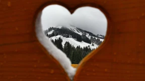 Die Welt als Streichelzoo