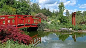 Ein Unternehmer und sein Kraftort