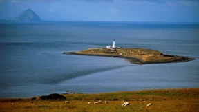 Die sieben Lehren des Robert the Bruce