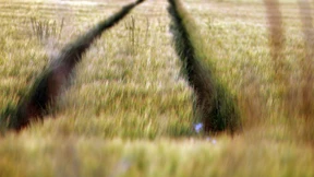 Das rasante Leben wird einem schnell zu viel