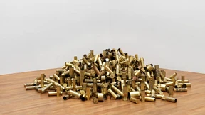 Kafkas Käfer trifft keine Idioten