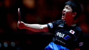 Giftig, nicht niedlich