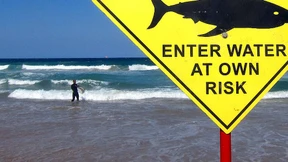 Surfer an australischer Westküste angegriffen