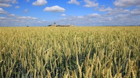 Wie steht es um Chinas größte Übernahme im Ausland?
