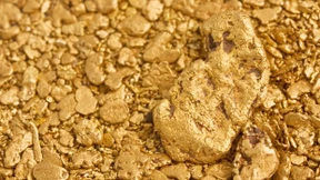 Die Goldschürfer  der Zukunft