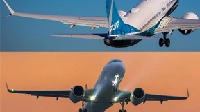 Die Arbeitstiere der Lüfte