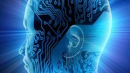 Unsterblichkeit  für alle