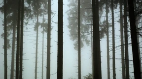 Biosphäre mit Risiken