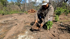Zertifikate kaufen, Emissionen senken