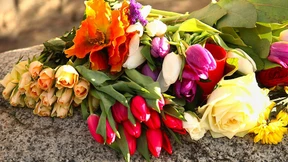 Hier muss ansetzen, wer Frauenfreiheit ernst meint