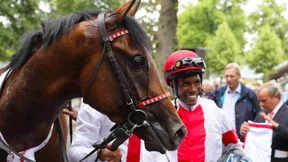 „Auto-Pilot“ Pedroza und ein Hengst namens Laccario