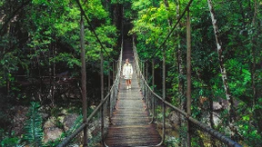 Traum-Zeit-Kontinuum