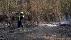 Feuerwehrmann stirbt bei Einsatz gegen Waldbrand in Spanien