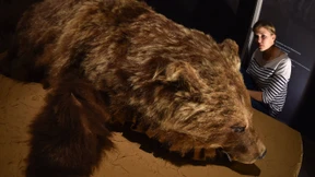 Als der Jäger zaubern lernte