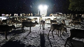 Am besten laut singen