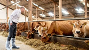 Scholz gegen den Rest der Genossen