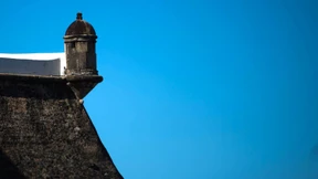 Amerika und Brasilien wollen Zika-Impfstoff entwickeln 