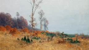 Der Schatten der Väter