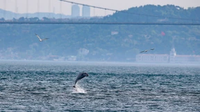 Nur eine kurze Pause für die Meere