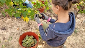 Mein Haus, mein Garten, mein Wein