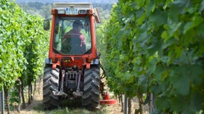 Ohne Spritzmittel geht es nicht