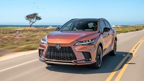 Die zarte Sehnsucht nach dem Talent des Geparden